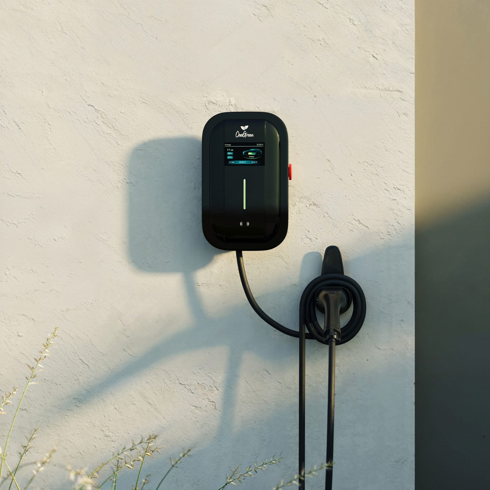 whatsapp image 8 2026 02 22 at 16.13.24